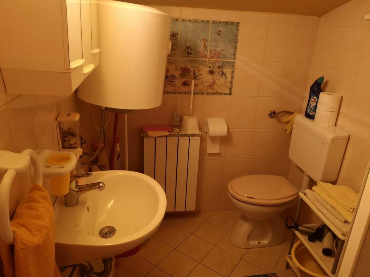 Apartment Samanta Šišan المظهر الخارجي الصورة