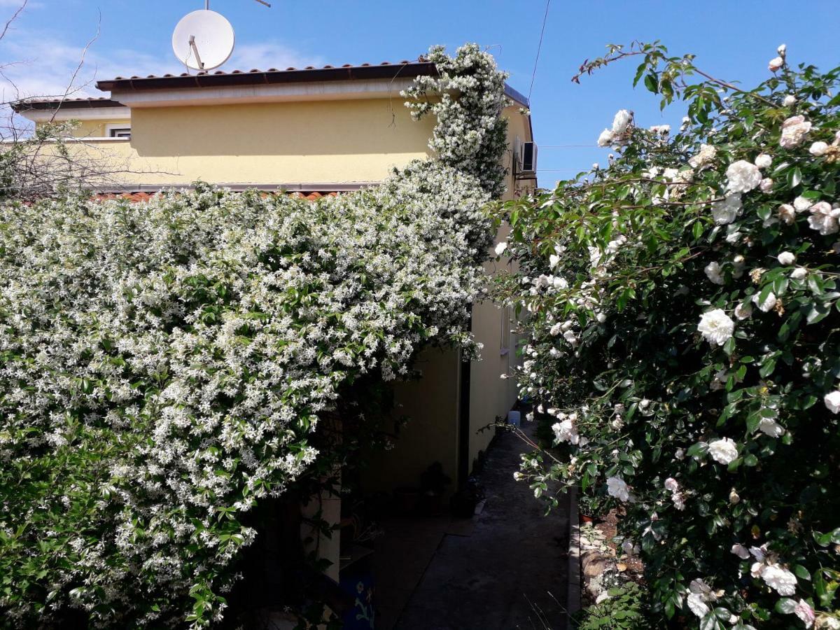 Apartment Samanta Šišan المظهر الخارجي الصورة