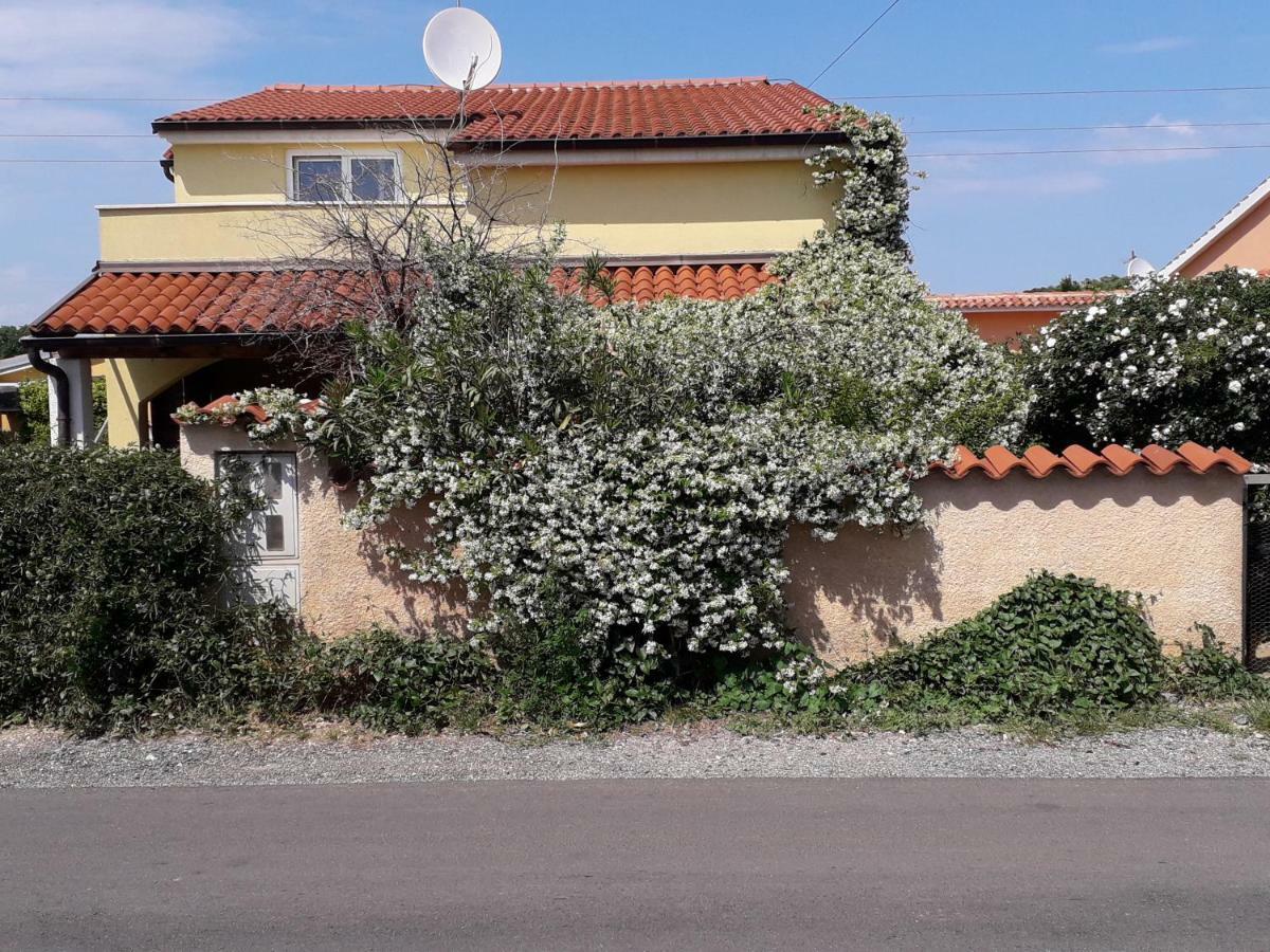 Apartment Samanta Šišan المظهر الخارجي الصورة